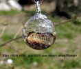 /album/fotogalerie-startseite/mini-chliini-walt-mit-glucklich-jpg/